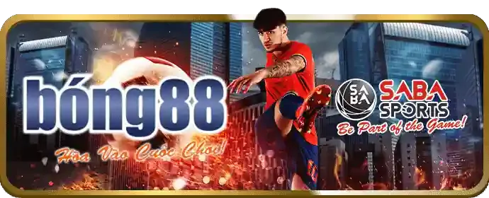 Lý do nên chọn thabet với các ưu điểm nổi bật